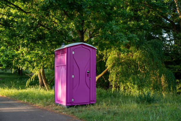 Affordable portable toilet rental in Mirrormont, WA